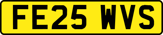 FE25WVS