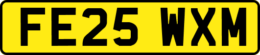 FE25WXM