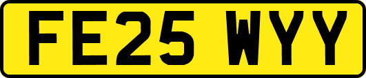 FE25WYY
