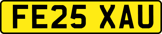 FE25XAU