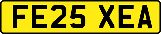 FE25XEA
