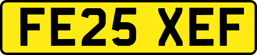 FE25XEF