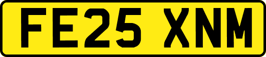 FE25XNM