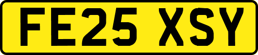 FE25XSY