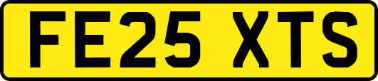 FE25XTS