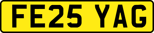 FE25YAG
