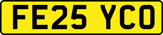 FE25YCO