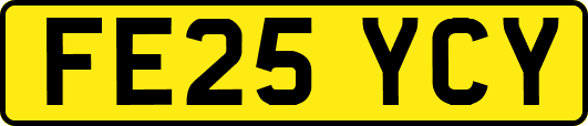 FE25YCY