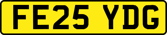 FE25YDG