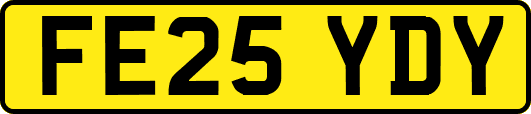 FE25YDY
