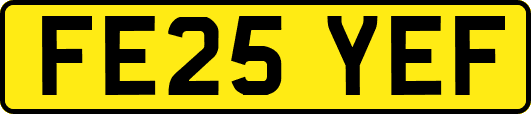 FE25YEF