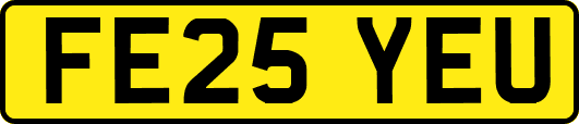 FE25YEU