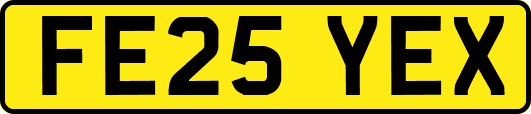 FE25YEX