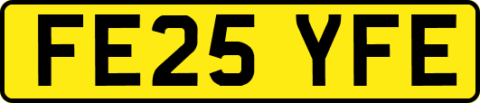 FE25YFE