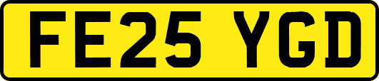FE25YGD