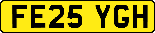FE25YGH