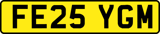 FE25YGM