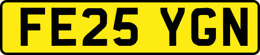 FE25YGN