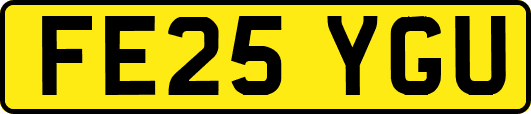 FE25YGU
