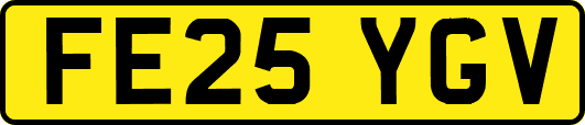 FE25YGV