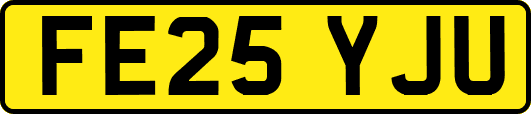 FE25YJU