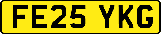 FE25YKG
