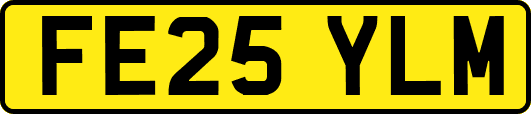 FE25YLM
