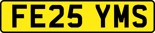 FE25YMS