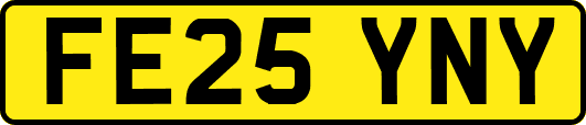 FE25YNY