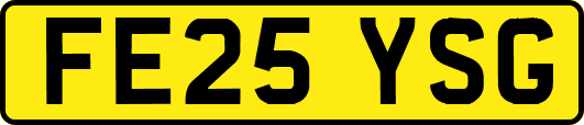 FE25YSG
