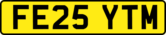 FE25YTM