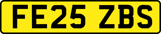 FE25ZBS
