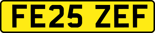 FE25ZEF