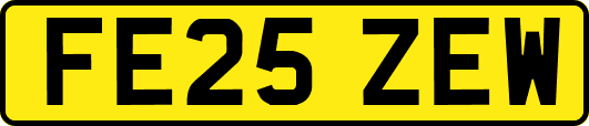 FE25ZEW