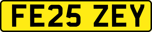 FE25ZEY