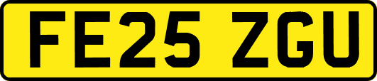 FE25ZGU