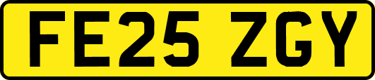 FE25ZGY
