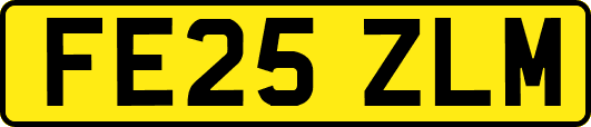 FE25ZLM