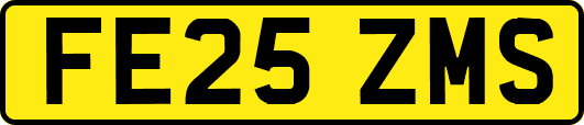 FE25ZMS