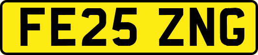 FE25ZNG