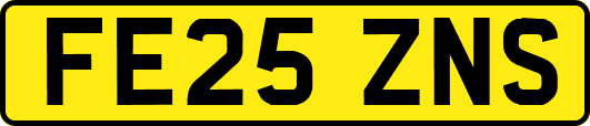 FE25ZNS