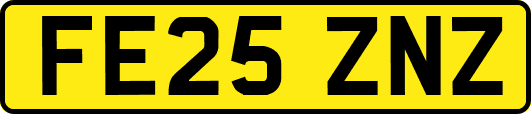 FE25ZNZ