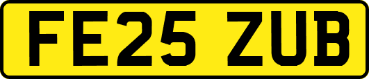 FE25ZUB