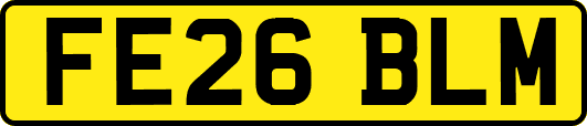 FE26BLM
