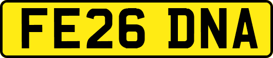 FE26DNA