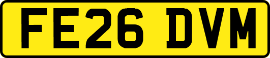 FE26DVM