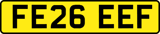 FE26EEF
