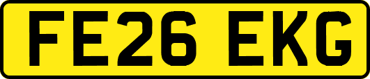 FE26EKG