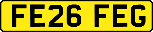 FE26FEG