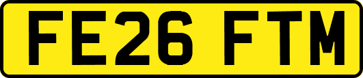 FE26FTM